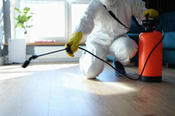 Reliable Odor Removal contractor in Hampton, MD by Trauma Clean Pros