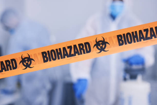 Professional Odor Removal technician working in Hampton, MD
